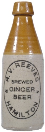 Ginger Beer - Champ Corker, T/T, R. V. Reeves Hamilton