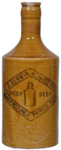 Ginger Beer - C/S, A/T - J.G. Derwin Parkes