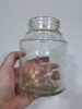 Jar - The Stanmore Preserving Co. Ltd. - 5