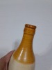 Ginger Beer - C/S, T/T - R. Hampe Mareeba, N. Queensland - 5