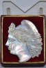 Jewellery - Mother of pearl carved cameo