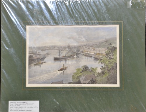 Art - Fred B. Schell, Unframed hand carved wood blog engraving, Brisbane from Bowen Terrace 1886. 45 x 35 cm.