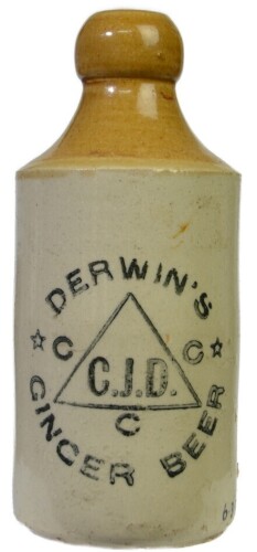 Ginger Beer - B/T, Derwin's Ginger Beer