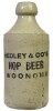 Ginger Beer - I/T, Hedley & Co's, Woonona