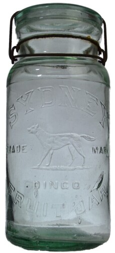 Fruit Jar - Sydney Dingo Fruit Jar