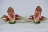 Australian Pottery - Derbyshire Salt and Pepper - 2