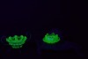 Uranium Glass - Victorian Vaseline glass compote - 3
