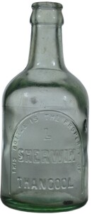 Crown Seal -Dump- L Shewin Thangool