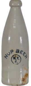 Ginger Beer - 20oz - Martin Vincent Forbes