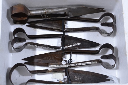 Box Lot - Sheep Shears