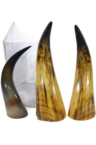 Garagenalia Horns x 3
