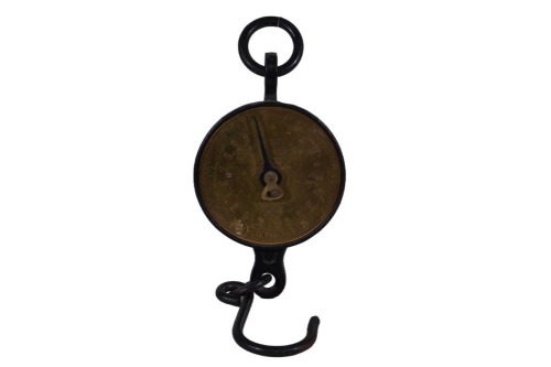 Scale - 200lb. Salter Hanging Scale
