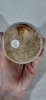 Ginger Beer - C/S Clark & Bradford West Tamworth - 4