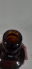 Glass Ginger Beer - Ecks South Australian - 3