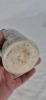 Ginger Beer - C/S - Hallam Bros. Proserpine - 3