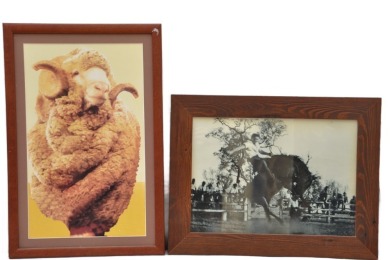 Wall art - Pictures x 2