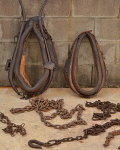 Pioneer - Horse Collars and Chains
