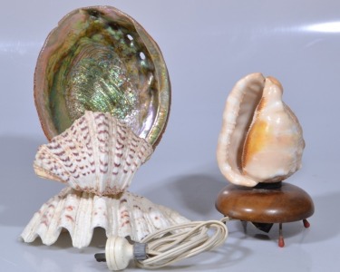 Nautical - 2x Shell Lamps