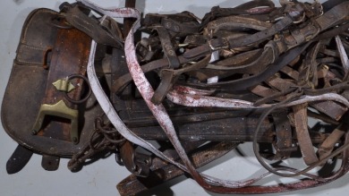 Pioneer - Misc. Horse Tack and leads.