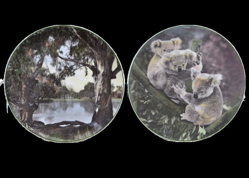 Collectible - Plates- Royal Dalton x2