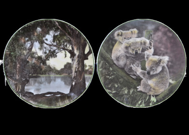 Collectible - Plates- Royal Dalton x2