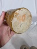 Ginger Beer -B/T - Young & Bibb, Coonamble - 5
