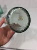 Crown seal - 26oz - F.E. Fox, Camden - 8