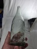 Crown seal - 26oz - Bailey's Mountain Mist (Dorrigo) - 2