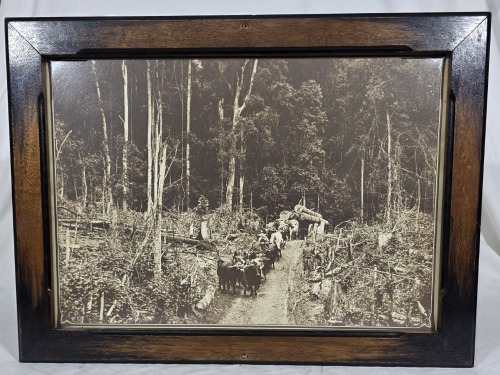 Print - Forrest scene