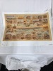 Pictures Historic - 4