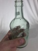 Crown seal - Dump - J. Goggins, Toowoomba - 6