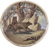 Pratt Lid - Bear's Grease, Bears on a rock