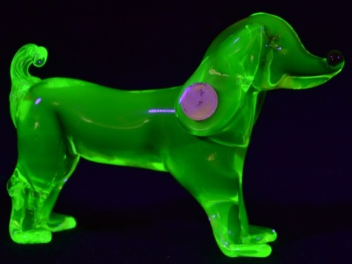 Uranium Glass - Murano Glass - Sausage Dog