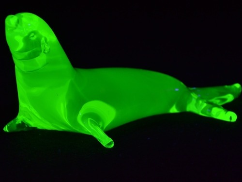Uranium Glass - Seal