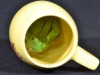 Australian Pottery - Wembley ware - Queensland centenary Frog in a Mug - 2