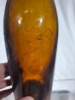 Beer C/S - Tooth's - Sydney - 6