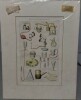 Assorted Antique Matted Prints x6 - 7