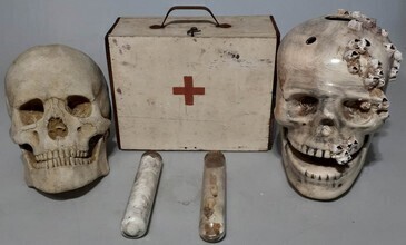 Group Lot - 2 x Display Skulls, 2 x Specimen Tubes (one containing teeth), Vintage First Aid box