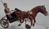 Toys - Windup Trotter - DSM Germany