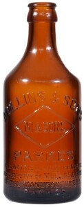 Glass Ginger Beer - Mullins and Sons Parkes